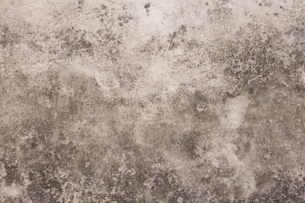 輸入壁紙 カスタム壁紙 PHOTOWALL / Textured Brixton Wall (e313644)