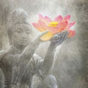 輸入壁紙 カスタム壁紙 PHOTOWALL / Neutral Lotus Buddha Squared (e312733)