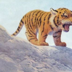 輸入壁紙 カスタム壁紙 PHOTOWALL / Tiger Cub Angry (e312631)