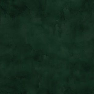 輸入壁紙 カスタム壁紙 PHOTOWALL / Watercolour - Dark Emerald (e314453)