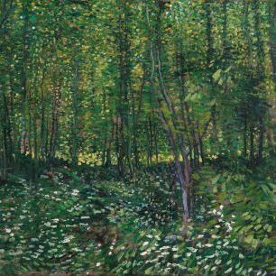 輸入壁紙 カスタム壁紙 PHOTOWALL / Vincent Van Gogh - Trees and Undergrowth (e314806)