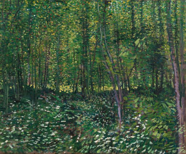 輸入壁紙 カスタム壁紙 PHOTOWALL / Vincent Van Gogh - Trees and Undergrowth (e314806)