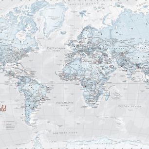 輸入壁紙 カスタム壁紙 PHOTOWALL / World Map Political Aqua (e316094)