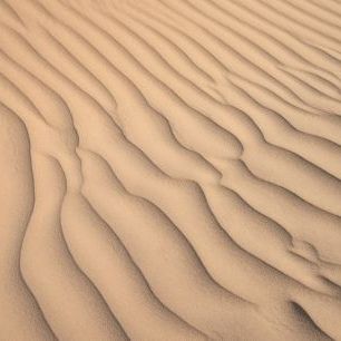 輸入壁紙 カスタム壁紙 PHOTOWALL / Desert Sand (e315576)