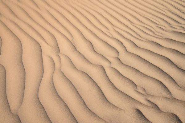 輸入壁紙 カスタム壁紙 PHOTOWALL / Desert Sand (e315576)