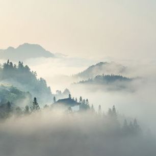 輸入壁紙 カスタム壁紙 PHOTOWALL / Morning Mist (e316051)
