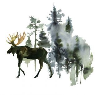 輸入壁紙 カスタム壁紙 PHOTOWALL / Watercolor Elk in Forest (e313894)