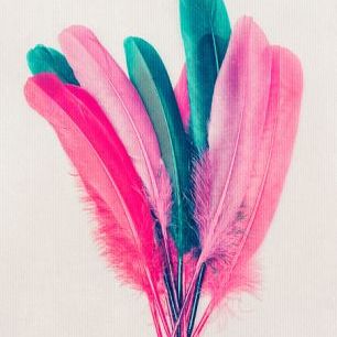輸入壁紙 カスタム壁紙 PHOTOWALL / Feather Bouquet (e315987)