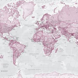 輸入壁紙 カスタム壁紙 PHOTOWALL / World Map Political Pink (e316091)