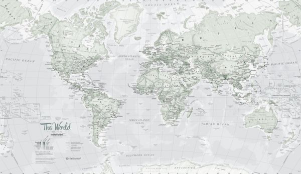 輸入壁紙 カスタム壁紙 PHOTOWALL / World Map Political Rustic (e316095)