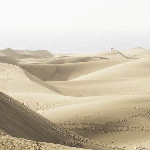 輸入壁紙 カスタム壁紙 PHOTOWALL / Maspolomas Sand Dunes (e313012)