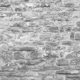 輸入壁紙 カスタム壁紙 PHOTOWALL / Covered Brick Wall (e313669)