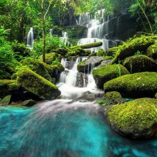 輸入壁紙 カスタム壁紙 PHOTOWALL / Green Forest Waterfall (e315853)