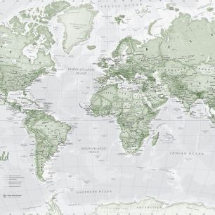 輸入壁紙 カスタム壁紙 PHOTOWALL / World Map Political Green (e316092)
