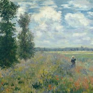 輸入壁紙 カスタム壁紙 PHOTOWALL / Poppy Fields - Claude Monet (e316921)