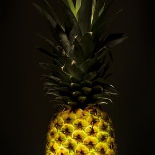 輸入壁紙 カスタム壁紙 PHOTOWALL / Pineapple (e312865)