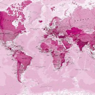 輸入壁紙 カスタム壁紙 PHOTOWALL / World Map Pink (e316086)