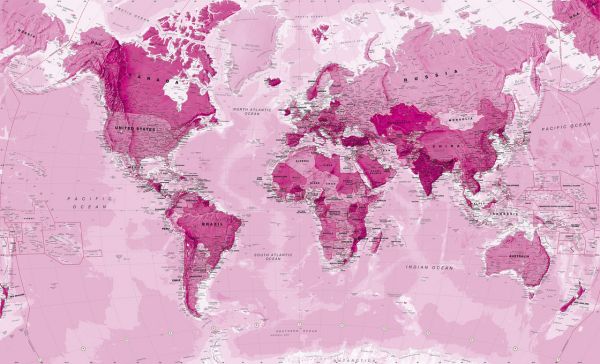 輸入壁紙 カスタム壁紙 PHOTOWALL / World Map Pink (e316086)