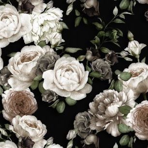 輸入壁紙 カスタム壁紙 PHOTOWALL / White Roses on Black Background (e317433)
