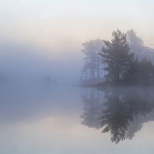 輸入壁紙 カスタム壁紙 PHOTOWALL / Foggy Morning (e316144)
