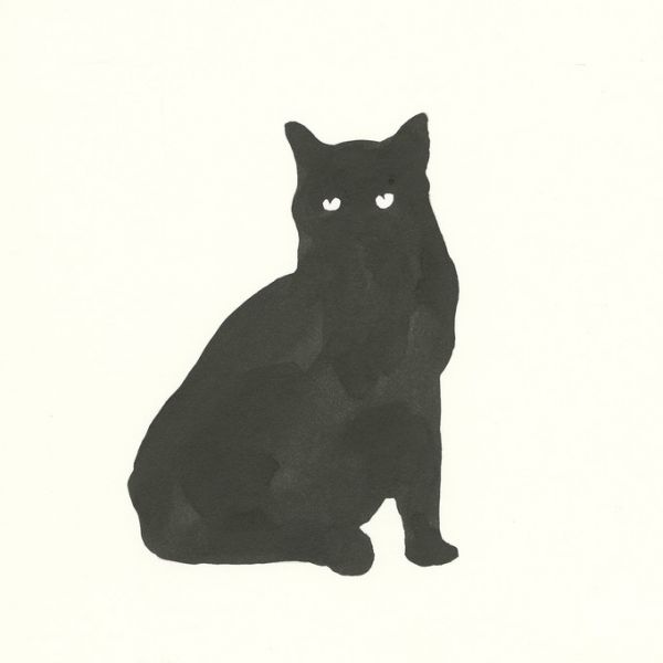 輸入壁紙 カスタム壁紙 PHOTOWALL / Black Cat (e316446)