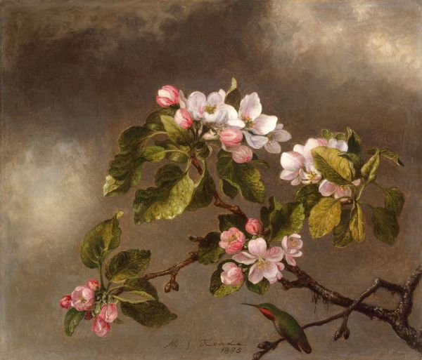 輸入壁紙 カスタム壁紙 PHOTOWALL / Hummingbird and Apple Blossoms - Martin Johnson Heade (e316981)