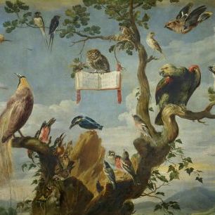 輸入壁紙 カスタム壁紙 PHOTOWALL / Concert of the Birds - Frans Snyders (e317021)