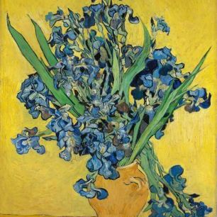 輸入壁紙 カスタム壁紙 PHOTOWALL / Irises - Vincent Van Gogh (e317056)