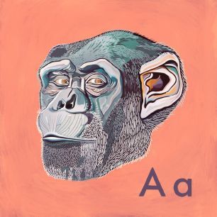 輸入壁紙 カスタム壁紙 PHOTOWALL / Ape with A (e317242)