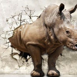 輸入壁紙 カスタム壁紙 PHOTOWALL / Strong Rhinoceros (e317703)
