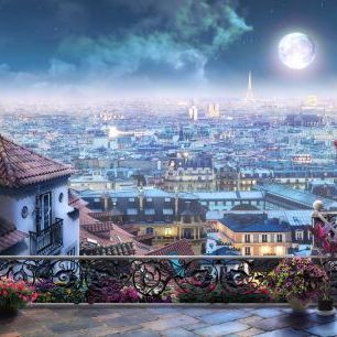 輸入壁紙 カスタム壁紙 PHOTOWALL / Moonlight over Paris (e317736)