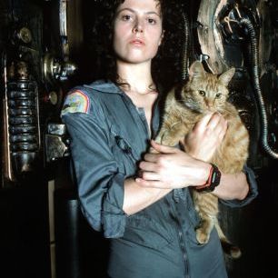 輸入壁紙 カスタム壁紙 PHOTOWALL / Alien - Sigourney Weaver (e317087)