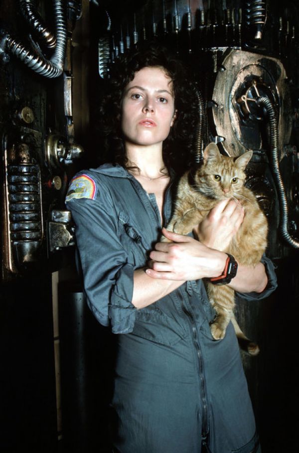 輸入壁紙 カスタム壁紙 PHOTOWALL / Alien - Sigourney Weaver (e317087)