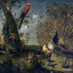 輸入壁紙 カスタム壁紙 PHOTOWALL / Concert of Birds - Frans Snyders (e317104)