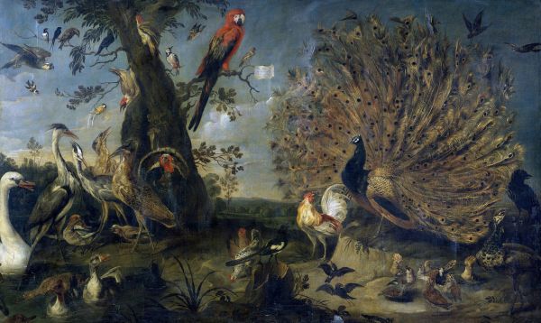 輸入壁紙 カスタム壁紙 PHOTOWALL / Concert of Birds - Frans Snyders (e317104)