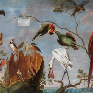 輸入壁紙 カスタム壁紙 PHOTOWALL / Birds Concert - Frans Snyders (e317109)