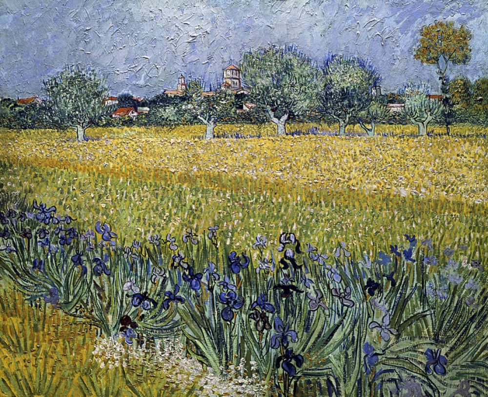 輸入壁紙 カスタム壁紙 Photowall View Of Arles With Irises Vincent Van Gogh 壁紙屋本舗