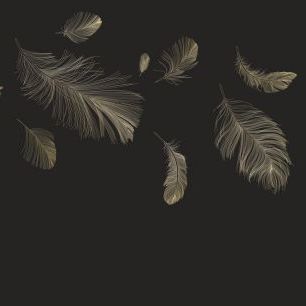 輸入壁紙 カスタム壁紙 PHOTOWALL / Flying Feathers - Brown (e318451)