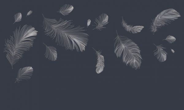 輸入壁紙 カスタム壁紙 PHOTOWALL / Flying Feathers - Dark Blue (e318452)