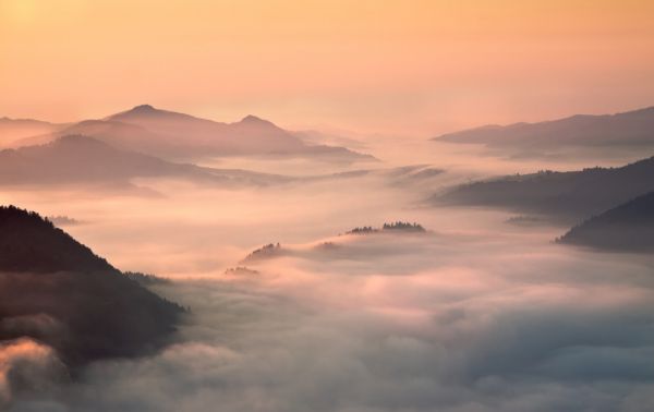 輸入壁紙 カスタム壁紙 PHOTOWALL / Foggy Morning in the Mountains (e317608)