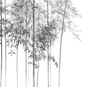 輸入壁紙 カスタム壁紙 PHOTOWALL / Bamboo Trees View - bw (e318690)