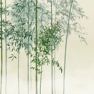 輸入壁紙 カスタム壁紙 PHOTOWALL / Bamboo Trees View - Green (e318691)