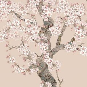 輸入壁紙 カスタム壁紙 PHOTOWALL / Doux Blossom - Peach (e318743)