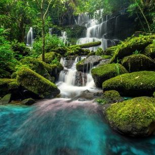 輸入壁紙 カスタム壁紙 PHOTOWALL / Waterfall in Green Forest (e317852)