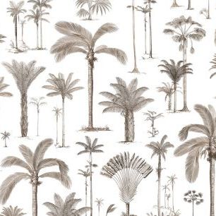 輸入壁紙 カスタム壁紙 PHOTOWALL / Brazilian Palms - Sepia (e319276)