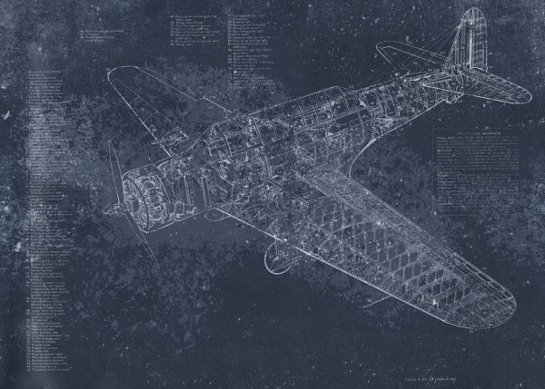輸入壁紙 カスタム壁紙 PHOTOWALL / Retro Airplane - Dark Blue (e319212)
