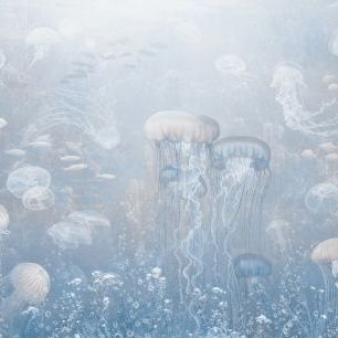 輸入壁紙 カスタム壁紙 PHOTOWALL / Jellyfish Garden - Blue (e319256)