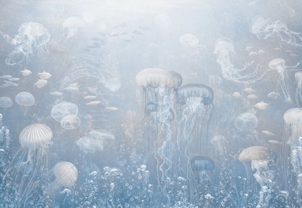 輸入壁紙 カスタム壁紙 PHOTOWALL / Jellyfish Garden - Blue (e319256)