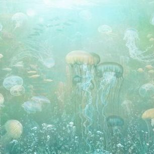 輸入壁紙 カスタム壁紙 PHOTOWALL / Jellyfish Garden - Green (e319257)