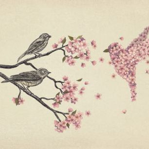輸入壁紙 カスタム壁紙 PHOTOWALL / Blossom Bird (e320008)